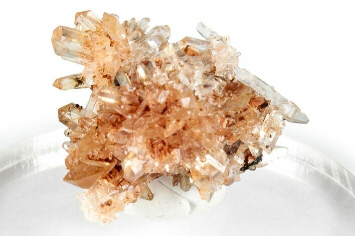 Sparkling Orange Creedite Crystal Cluster - Durango, Mexico #348129